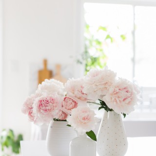 peony-7