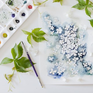 hydrangea watercolorcraftberry bush-2