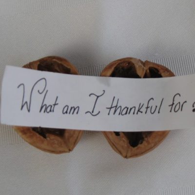 A Thankful Walnut…..