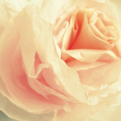 A rose tutorial just for you…