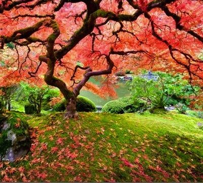 Today, the world prays for Japan