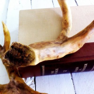 Save a deer….A PB antler inspired tutorial