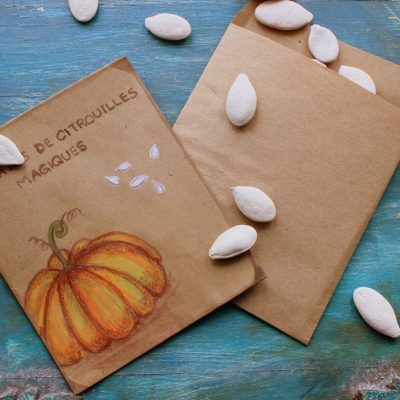 Magic Pumpkin Seeds…