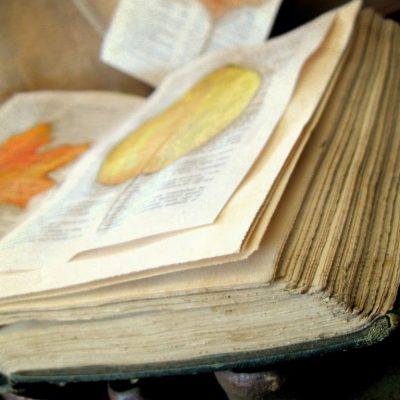 Leafing through a book…