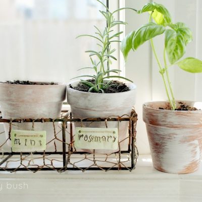 On my window sill…chicken wire caddy