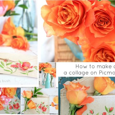How to make a collage on Picmonkey