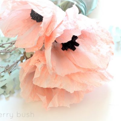 Crepe Anemone flower tutorial