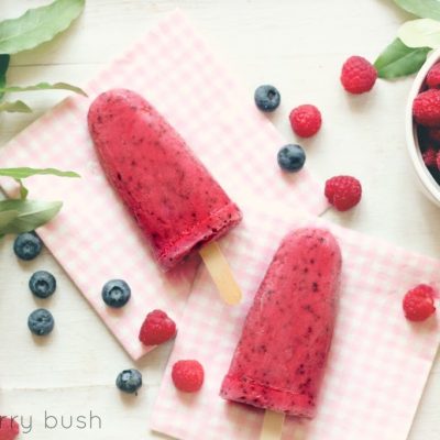Healthy Raspberry and Greek yogurt ice pops