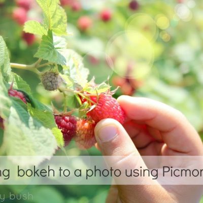 Adding Bokeh to a Photo using Picmonkey
