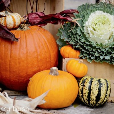 Front porch fall vignette…