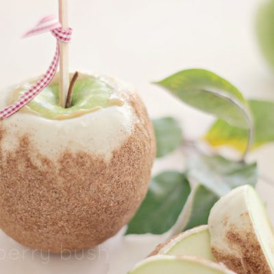 Gourmet caramel apples….