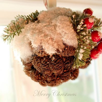 Mini Pine Cone ornament….