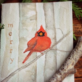 cardinalwatercolourcrfatberrybush1
