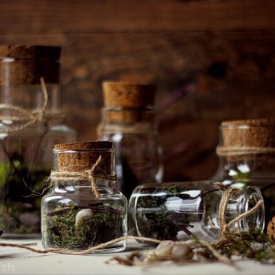 Mini Faux Terrariums