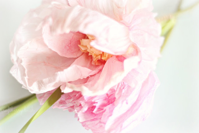 CAKE FLOWERS! How to wire and tape fresh flowers using Parafilm tape. 