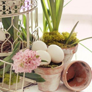 easterbirdcagecraftberrybushcloseup