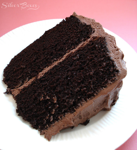 Yummy chocolate cake with a hint of Dr. Pepper flavor