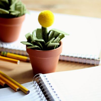 Plant Pot Pencil Holder and Pencil Toppers