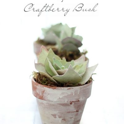 Paper succulent tutorial