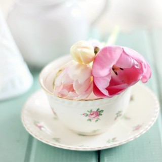 tulipsonteacupcraftberrybush2