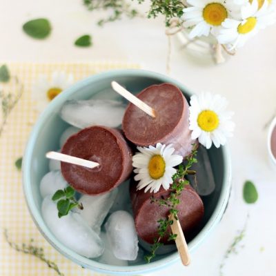 Homemade Fudgesicles with a Healthy Alternative