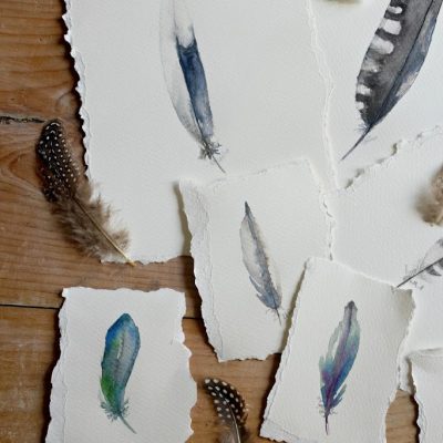 Watercolor feathers and Haven Conference