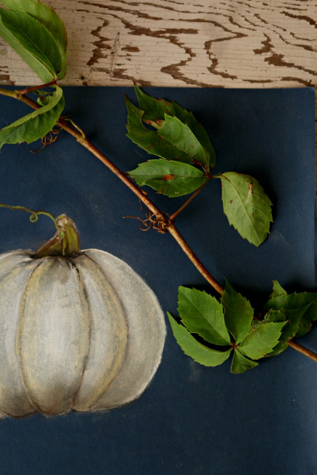 How to draw a pumpkin with chalk pastel