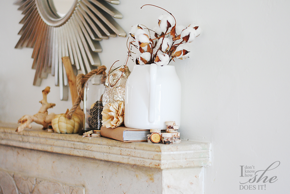 Simple fall decor