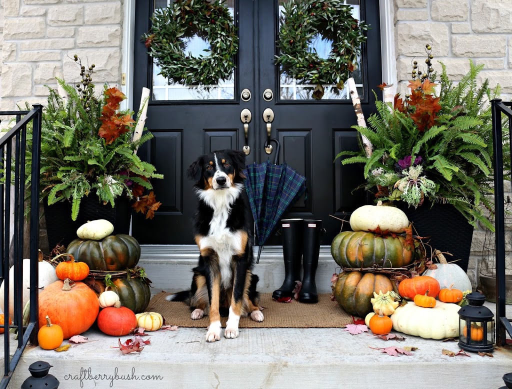 Fall Porch 2014