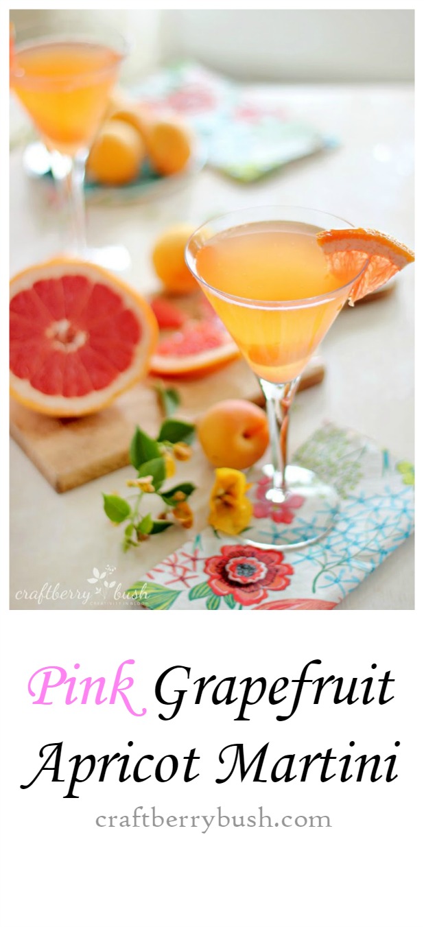 https://www.craftberrybush.com/wp-content/uploads/2014/12/apricotgrapefruitmartinicraftberrybush1.jpg