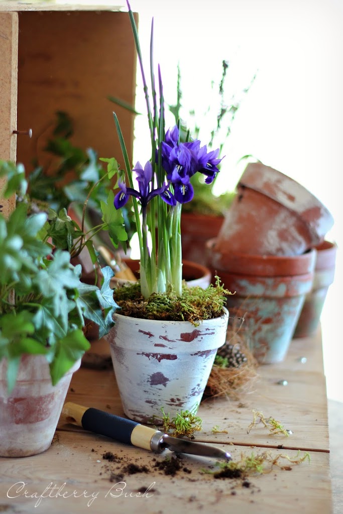 Turn Your Clay Pots into Works of Art - Platt Hill Nursery - Blog & Advice