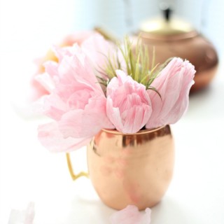 crepetuliptutorialcraftberrybush