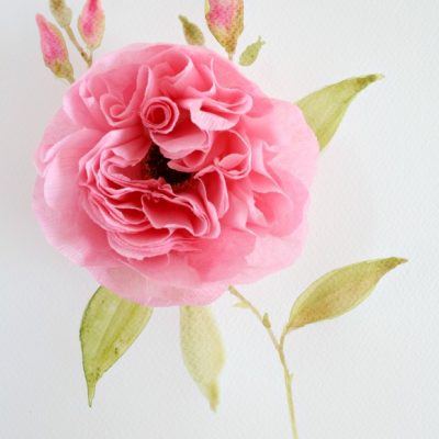 Crepe paper cabbage rose tutorial