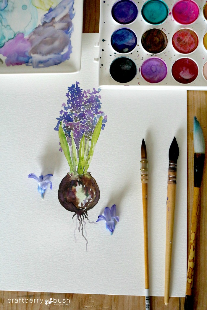 hyacinthwatercolorcraftberrybushwm