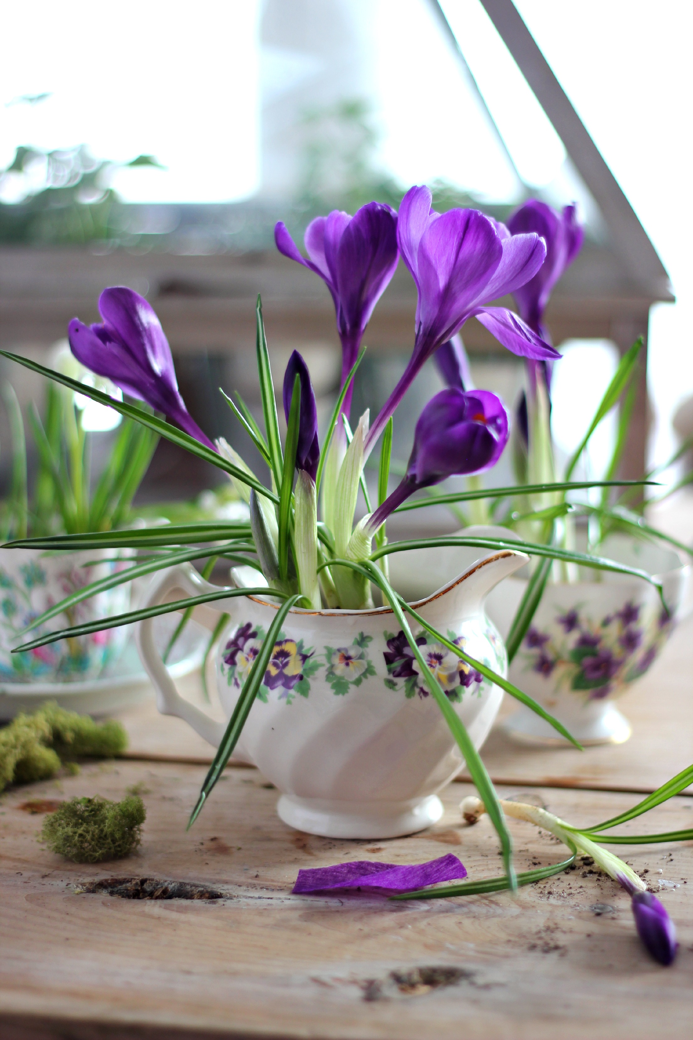 Beautiful Miniature CROCUS in Pot Tiny Fake Flowers, Spring