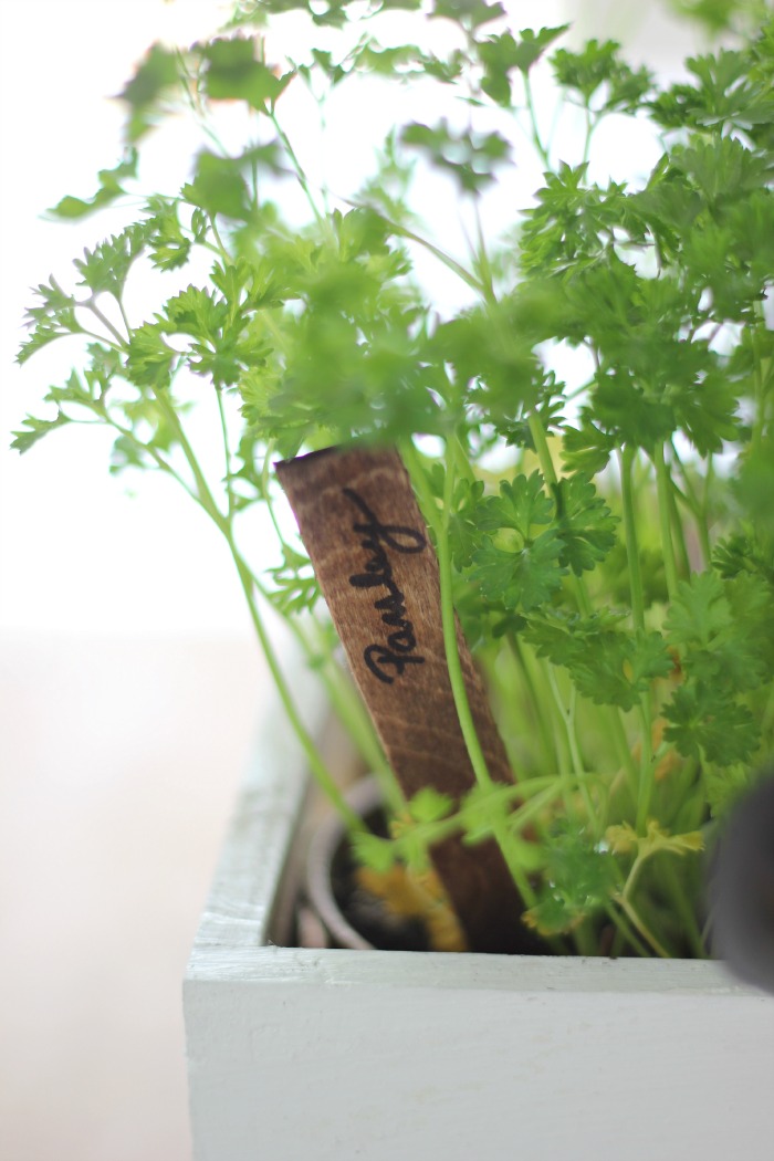 Easy garden markers DIY