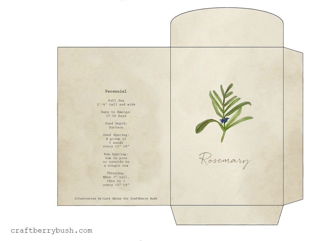 Watercolor herb seed packet printable and gift idea