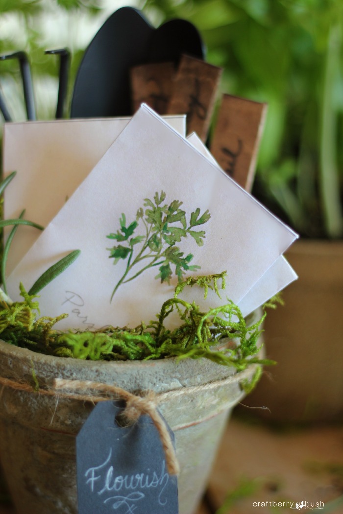 Watercolor herb seed packet printable and gift idea