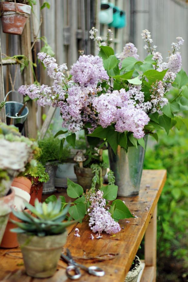 Gardening Bench