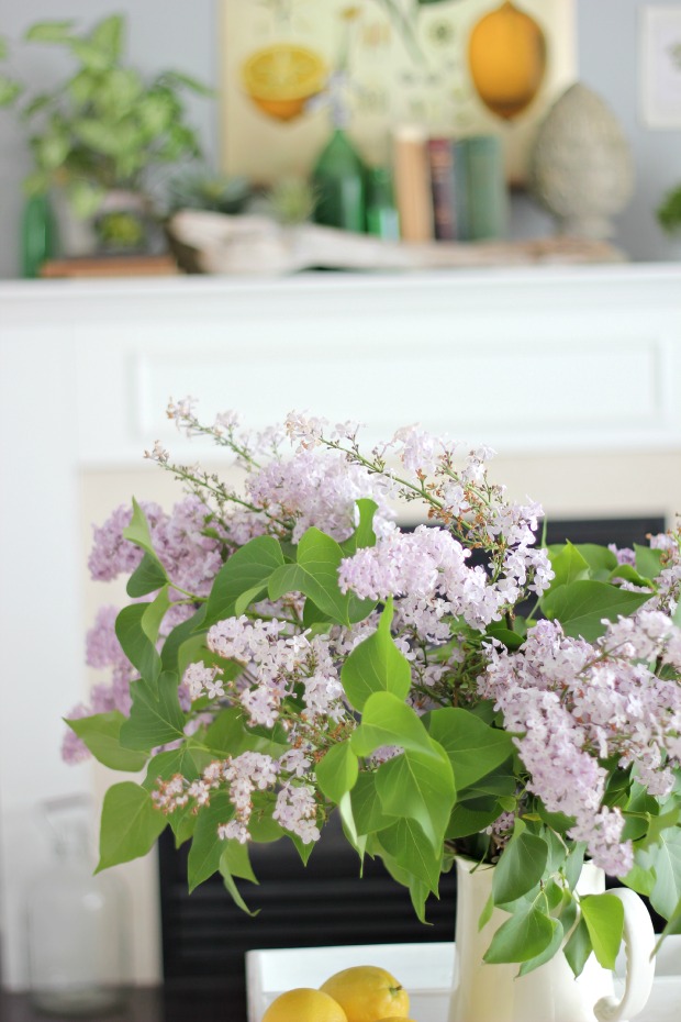 lilacs.jps