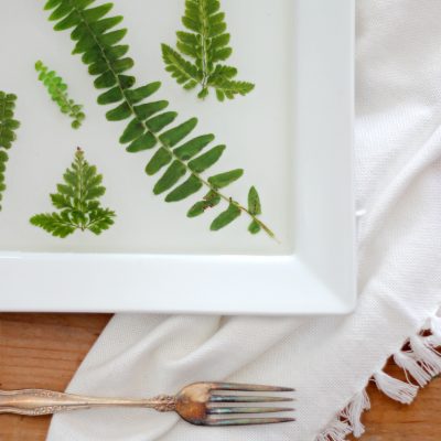 Pressed fern resin tray