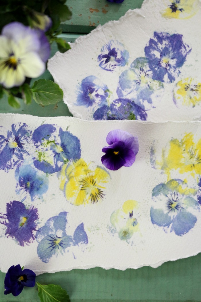 Pressed flowers prints