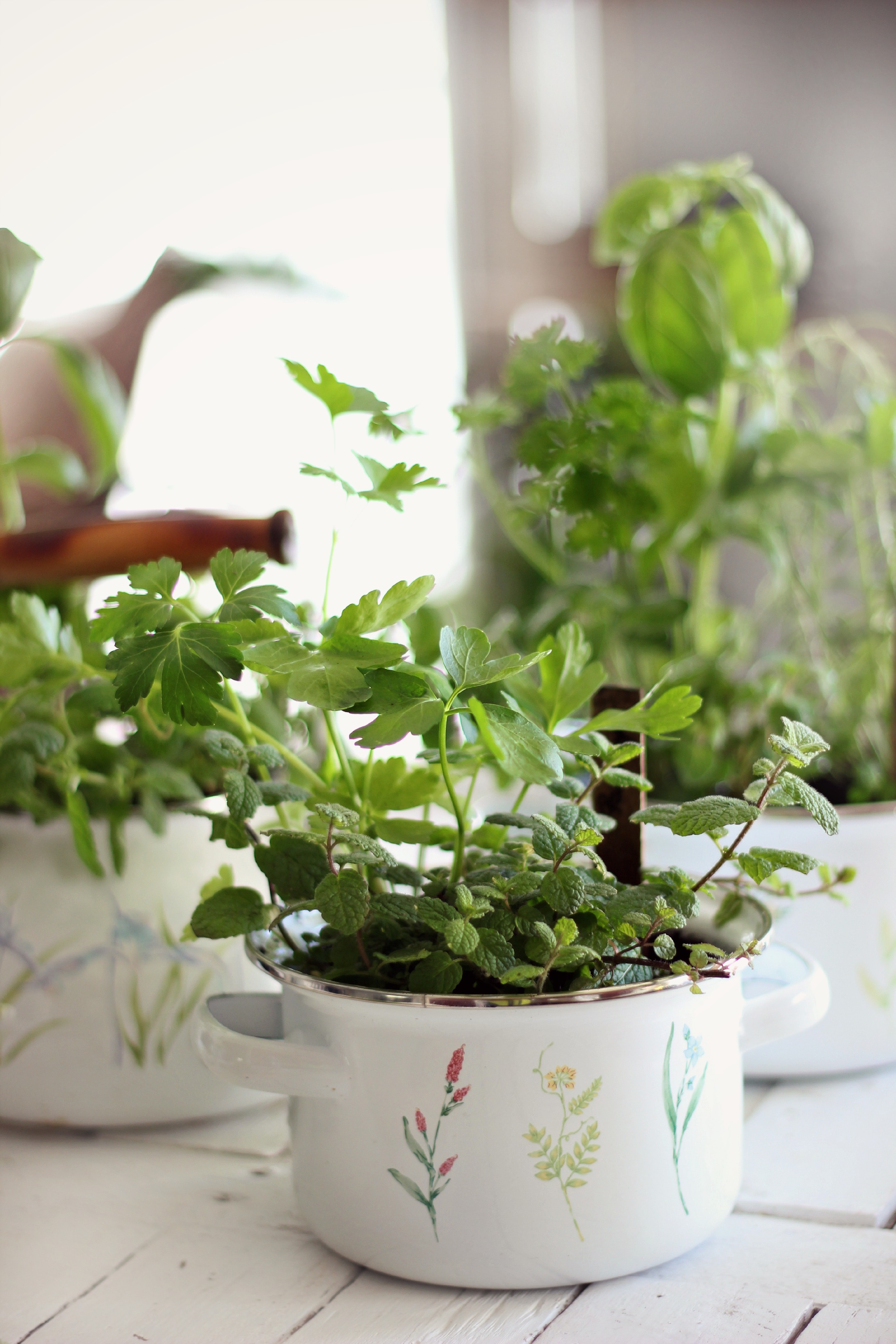 Whimsical herb garden