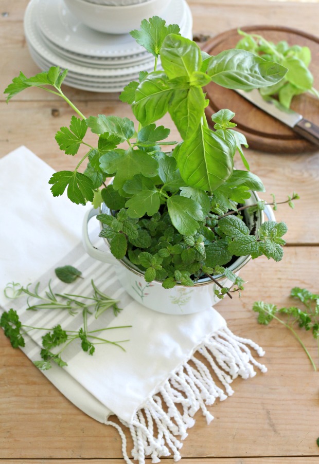 whimsicalherbgarden