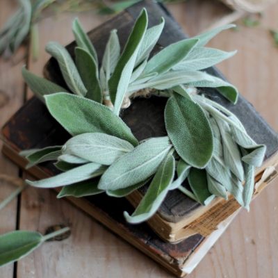 Mini Herb Wreath