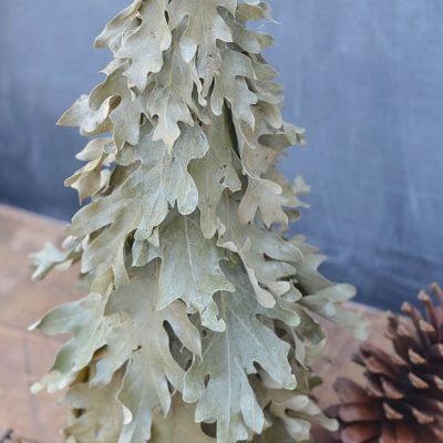 DIY Preserved Oak Leaf Tree