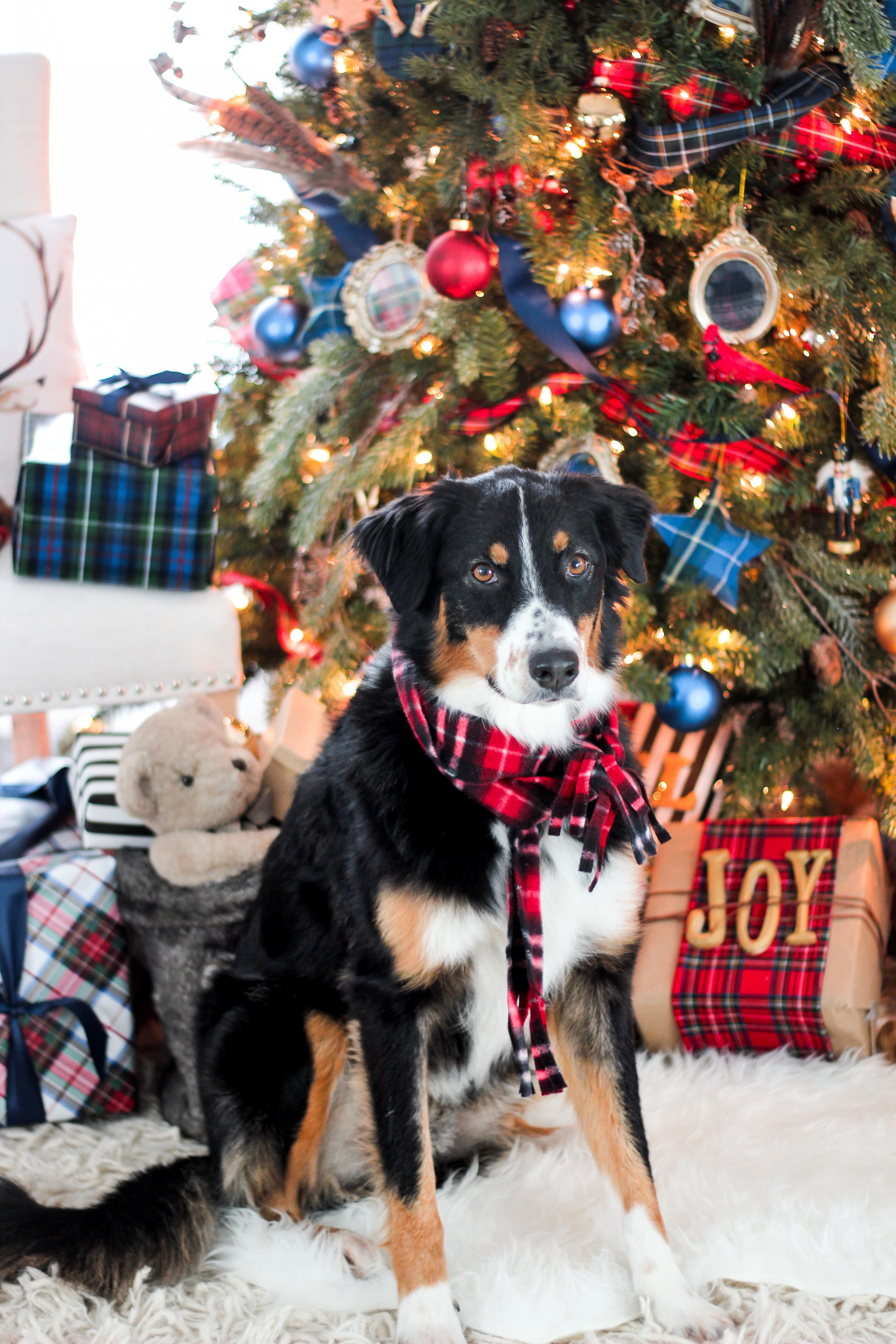 Buffalo Plaid Christmas Decor - Refresh Restyle