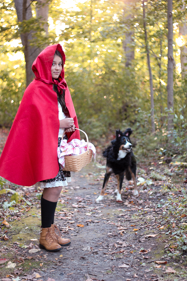 skilsmisse Forpustet gravid Little Red Riding Hood and Wolf Costume