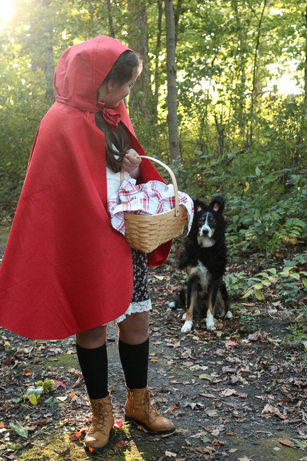 red riding hood werewolf costume