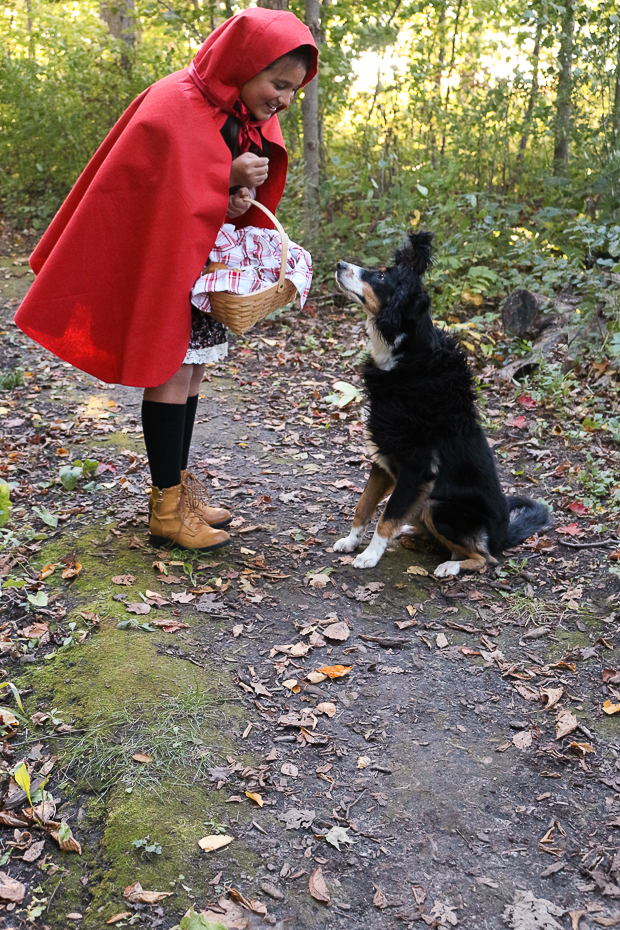 red riding hood werewolf costume